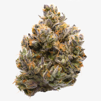 Lemon Tart Pucker #1